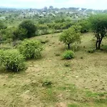 Nuestras Raices